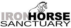 Iron Horse Sanctuary, Inc.